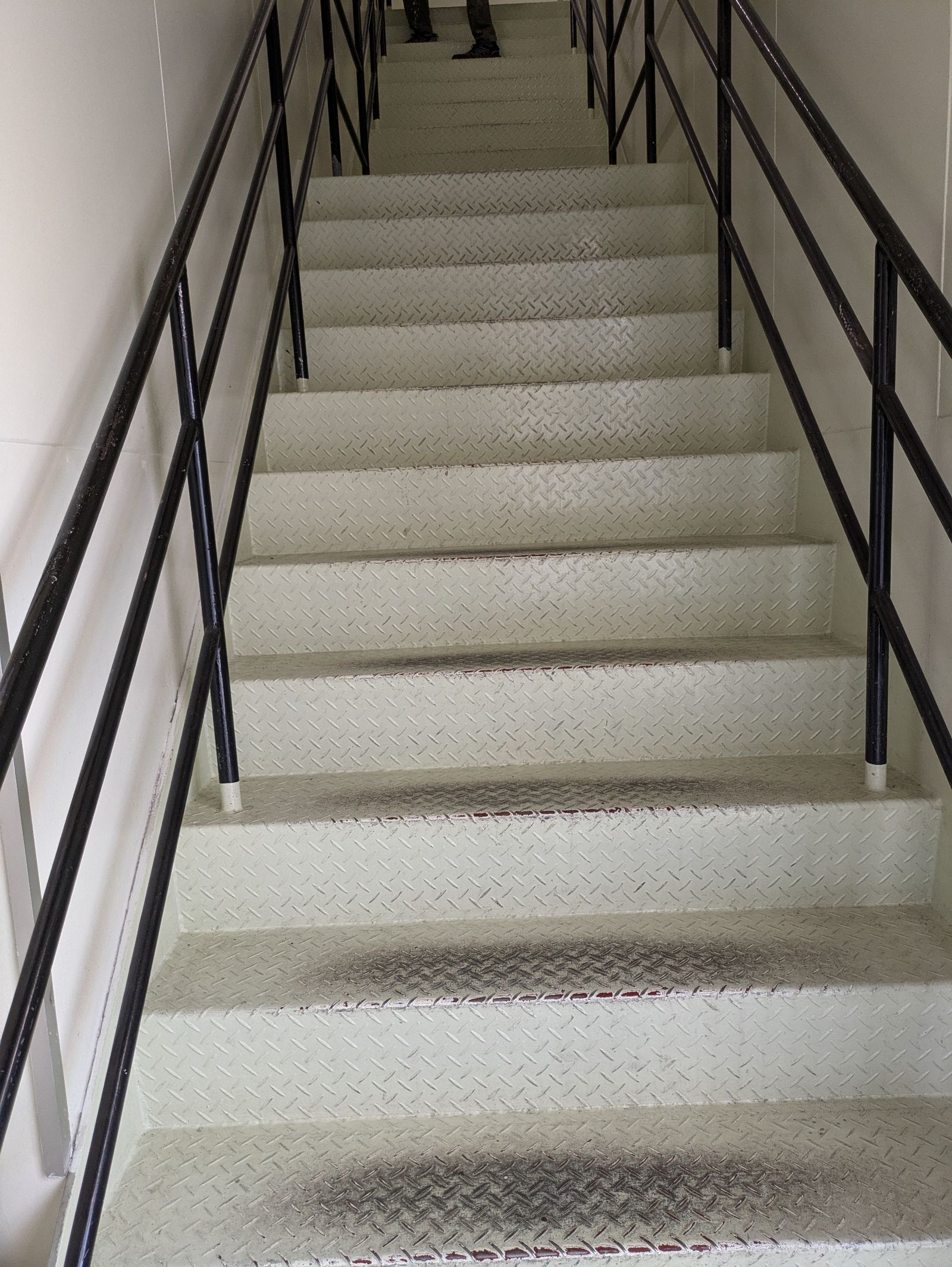 外壁塗装 株式会社藤本塗装