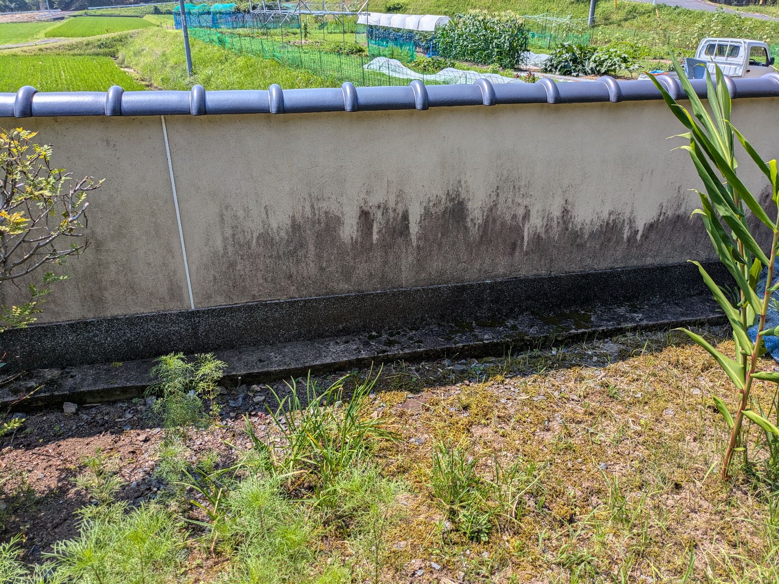 外壁塗装 株式会社藤本塗装