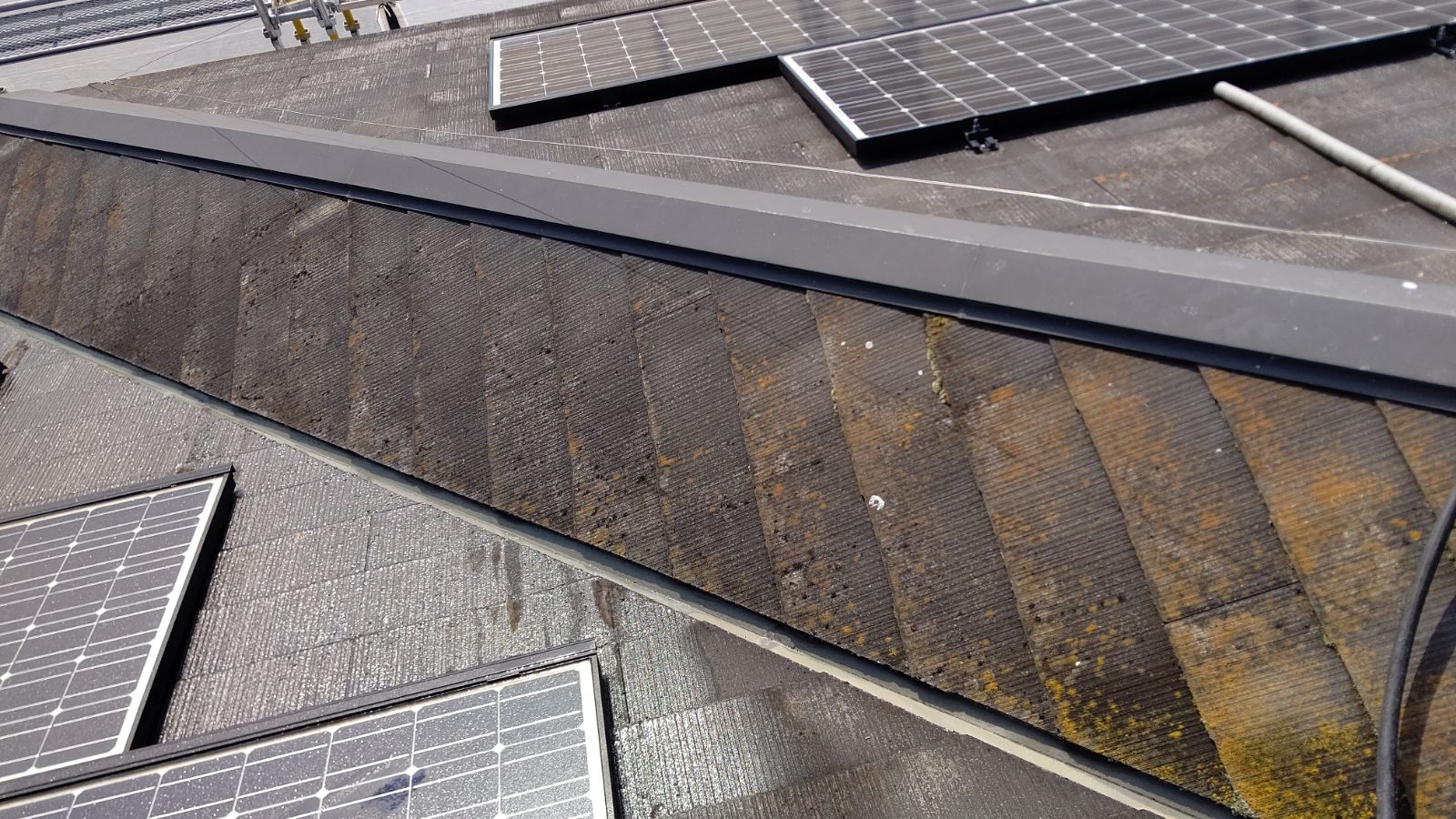 外壁塗装 株式会社藤本塗装