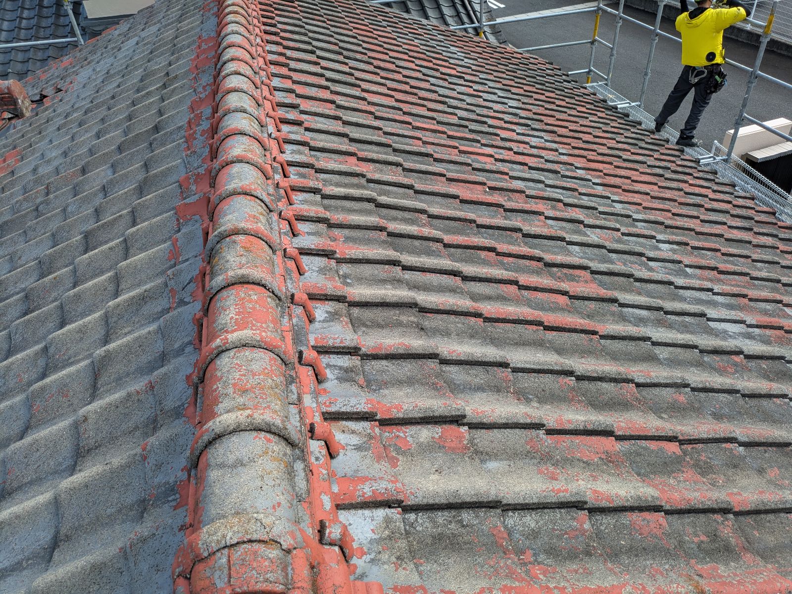 外壁塗装 株式会社藤本塗装