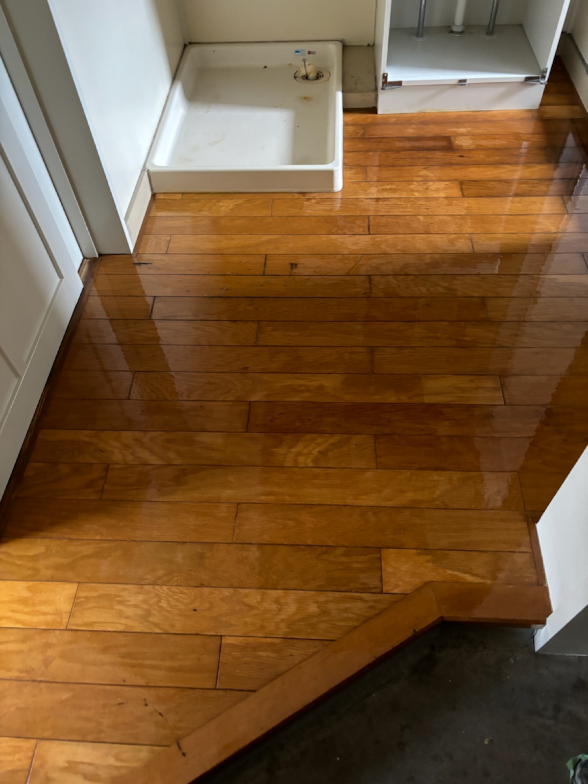 外壁塗装 株式会社藤本塗装